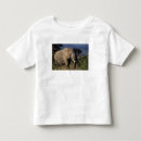 Recherche de mâle tshirts Montagne