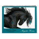 Suche nach pferde kalender Appaloosa