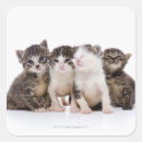 Recherche de chat japonais autocollants Animaux