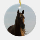 Recherche de beauté ornements Cheval