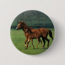 Suche nach fohlen buttons Bob langrish