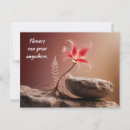 Suche nach flower postkarten Blume