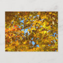 Recherche de ciel jaune cartes postales Nature