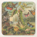 Recherche de insecte dessous de verres Pour tous