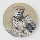 Suche nach gepard wanduhren Große katze