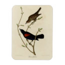 Recherche de j aile magnets Illustration