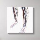 Suche nach beine poster leinwandbilder Füße