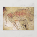 Recherche de grotte cartes postales Animal