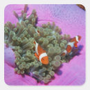 Suche nach seeanemone aufkleber Wild lebende tiere