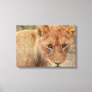 Suche nach kneipen poster Katze