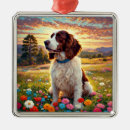 Suche nach englischer springer spaniel ornamente Haustiere