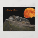 Recherche de mexicaine cartes postales Animal