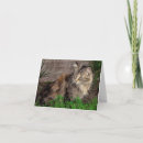 Suche nach wildkatzen karten Katzenliebhaber