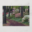 Recherche de allee cartes postales Forêt