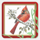 Recherche de bel oiseau autocollants Nature