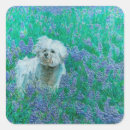 Suche nach bichons aufkleber Niedlicher hundeaufkleber