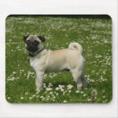 Recherche de jouant tapis souris Fleurs