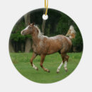 Suche nach appaloosa ornamente Foto
