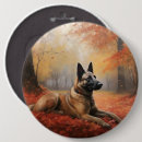 Recherche de malinois belge badges Animal
