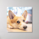 Suche nach königin von alles poster leinwandbilder Hund