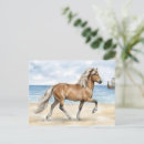 Suche nach aquarell pferd postkarten Pony