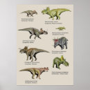 Recherche de prehistorique posters Dinosaures