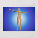 Recherche de système nerveux cartes postales Anatomie humaine