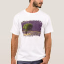 Suche nach lavendel tshirts Muster
