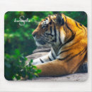 Recherche de amur tapis souris Tigre sibérien