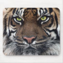 Suche nach grüne augen mousepads Tiere