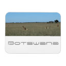 Recherche de animaux sauvages magnets Savane