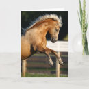 Suche nach stallion karten Rasse
