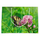 Recherche de machaon de tigre Animal