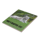 Suche nach wild lebende tiere fliesen Tiger