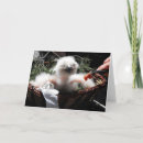 Recherche de owl vœux cartes Chic