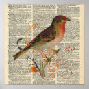 Recherche de oiseau vintage posters Illustration