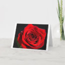 Suche nach einzeln sein karten Blume