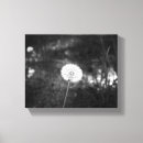 Recherche de pissenlit et blanc art Fleur sauvage