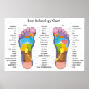 Recherche de méridiens posters Shiatsu