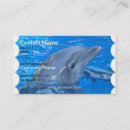 Recherche de dauphins cartes visite Dauphin de bottlenose