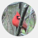 Recherche de homme sauvage autocollants Jardin