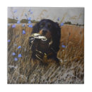 Suche nach gordon fliesen Jagd