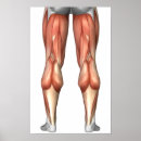 Recherche de diagramme de santé posters Médical