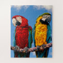 Recherche de perroquets sauvages puzzles Animaux