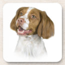 Suche nach bretagne untersetzer Spaniel