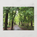 Recherche de chemin forestier cartes postales Nature