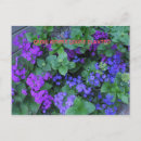 Suche nach gepflanzt postkarten Blume