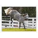 Suche nach aktionen karten Tier