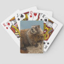 Recherche de cathy jeux de cartes Animal