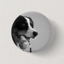 Recherche de chien badges pins Animal